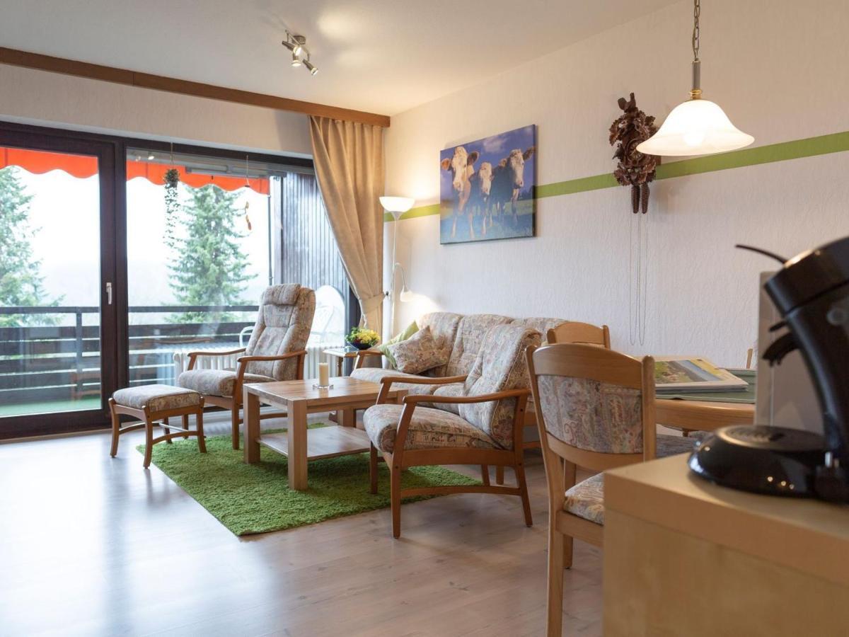 Appartmentvermietung Terrassenpark Schonach Schonach im Schwarzwald Экстерьер фото